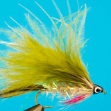 Stickleback Minnow
