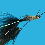 Sucking Stone Fly