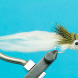 Swimming Baitfish