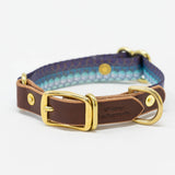 Saltwater Dog Collars