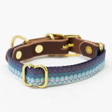 Saltwater Dog Collars