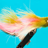Trophy Sculpin