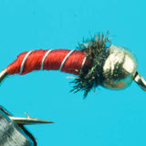 Zebra Midge - Tungsten