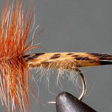 King River Caddis
