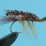 Ultra Shrimp