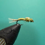 Olive and black fishing fly lure with spiky wing and dangling hackle