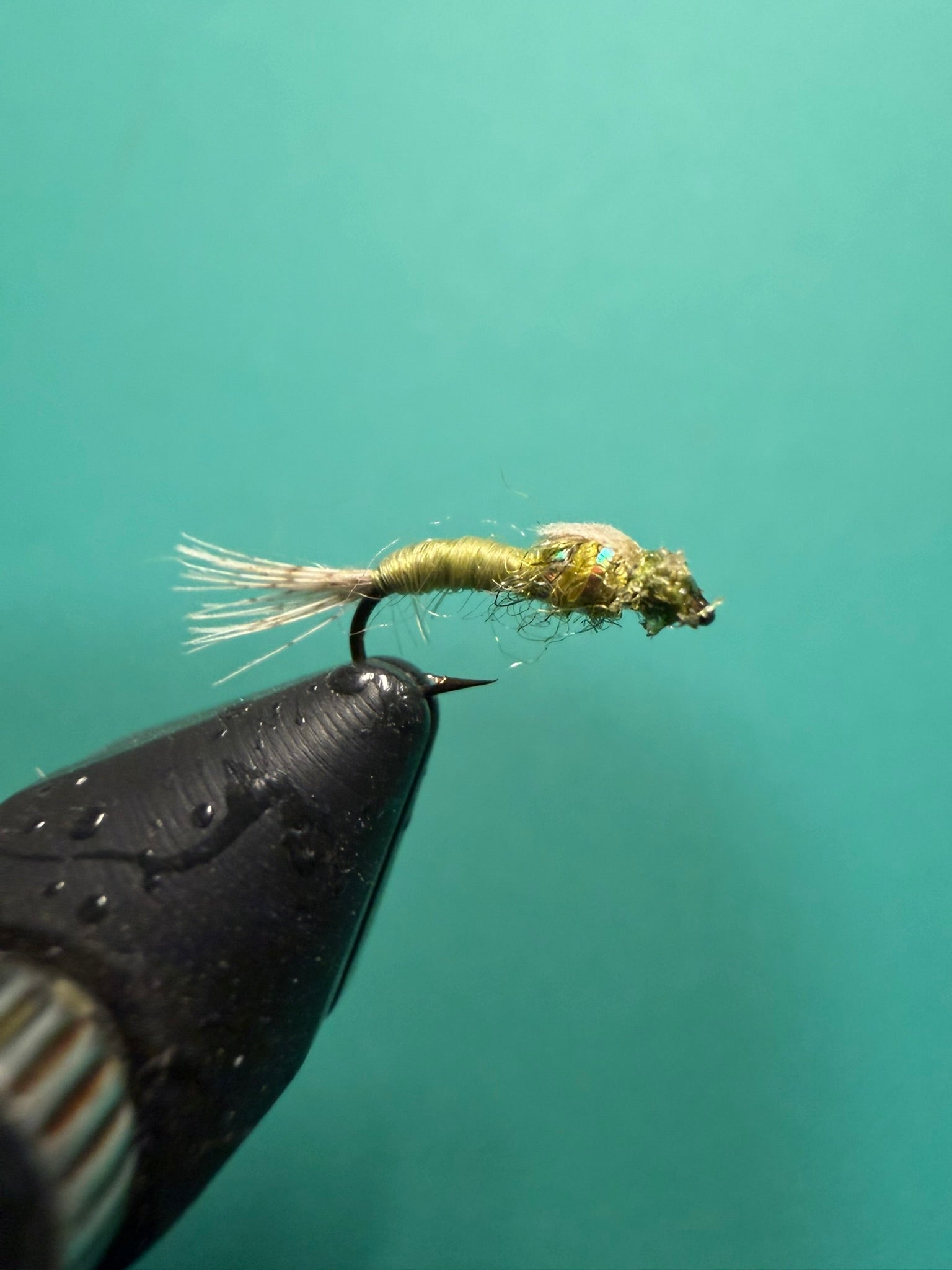 Olive and black fishing fly lure with spiky wing and dangling hackle