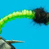 Willow Grub