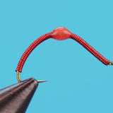 Wire Worm