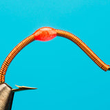 Wire Worm