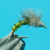 Wonder Nymph