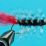Woolly Worm