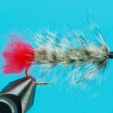 Woolly Worm