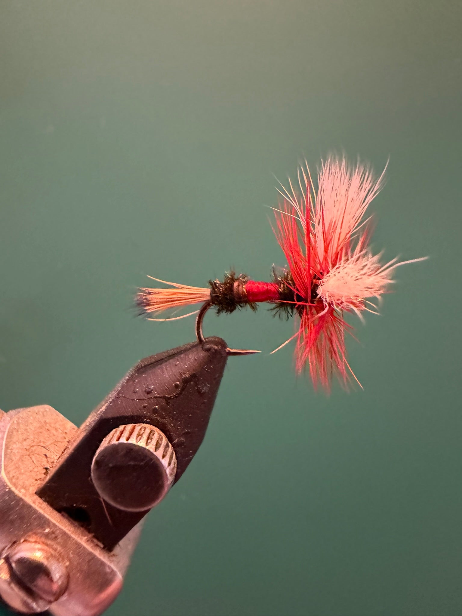 Wulff fly fishing lure with red-pink fuzzy dubbing and brown hook