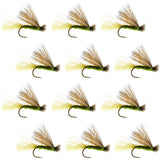 Barbless Olive X Caddis Emerging Caddis Adult Fly - 12 Flies Size 18