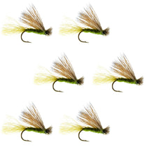 Olive-green and tan dry fly set with curved hooks, four flies