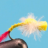 Yellow Sally Emerger